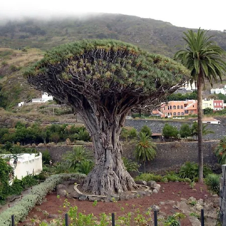 Apartamento Angeles Icod De Los Vinos
